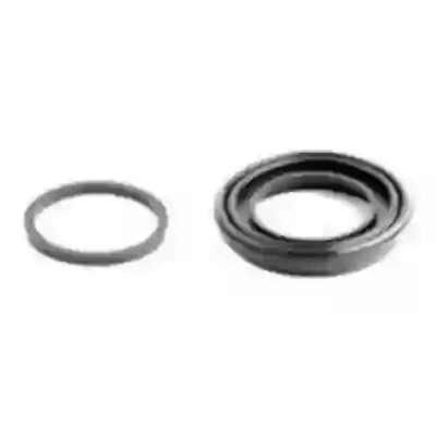 Rfd3105 -- ø 42mm renault master  ( guard.c/insert.) tras.