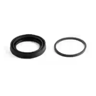 Rfd4050 -- ø 54mm renault r21 ( guard. c/insert.)
