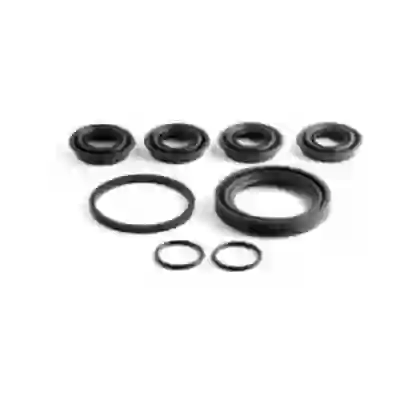 Rfd4250 -- ø 48mm renault express-clio- ( compl. con fuelles pernos guia)