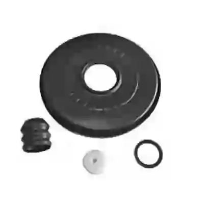 Rsvo1009 - kit rep.servos bx-bosch  usos en fiat/peugeot/citroen/vw ( 329537-2253472-1422497)