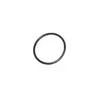 Svo1734 - o ring- torica servo tensa